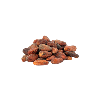 Imagen de Cacao en grano de producción ecológica de la marca EcoAndes.