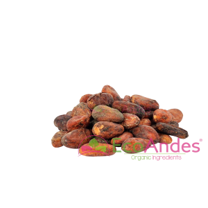 Imagen de Cacao en grano de producción ecológica de la marca EcoAndes.