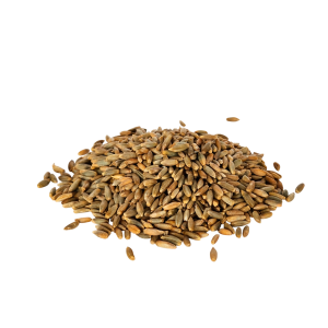 Imagen de Centeno integral en grano de producción ecológica de la marca EcoAndes.