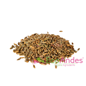 Imagen de Centeno integral en grano de producción ecológica de la marca EcoAndes.