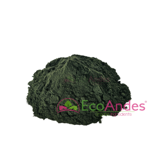 Imagen de Chlorella en polvo de producción ecológica de la marca EcoAndes.