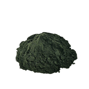 Imagen de Chlorella en polvo de producción ecológica de la marca EcoAndes.