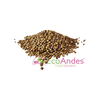Imagen de Cilantro en semillas de producción ecológica de la marca EcoAndes.