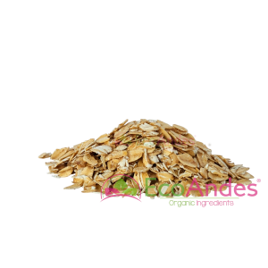 Imagen de Copos de avena gruesos de producción ecológica de la marca EcoAndes.