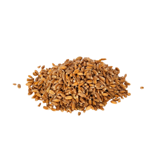 Imagen de Espelta en grano de producción ecológica de la marca EcoAndes.