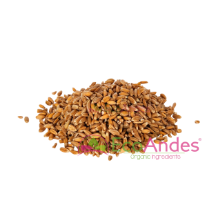 Imagen de Espelta en grano de producción ecológica de la marca EcoAndes.