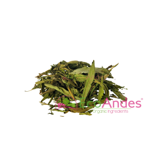 Imagen de Estevia en hoja de producción ecológica de la marca EcoAndes.