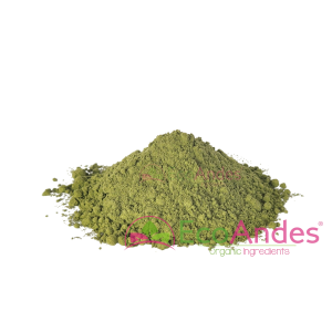 Imagen de Estevia en polvo de producción ecológica de la marca EcoAndes.