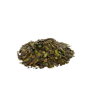 Imagen de Guayusa en hoja partida de producción ecológica de la marca EcoAndes.