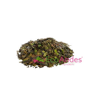 Imagen de Guayusa en hoja partida de producción ecológica de la marca EcoAndes.