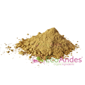 Imagen de Jengibre en polvo de producción ecológica de la marca EcoAndes.