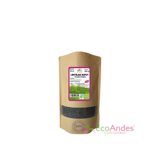 Bolsa de 500g con contenido de Lenteja Verde Dupuy de la marca EcoAndes. El envase es de papel kraft con ventana transparente que muestra el contenido, etiqueta frontal con información nutricional, certificaciones ecológicas, sin gluten y sello de "envasado artesanal".