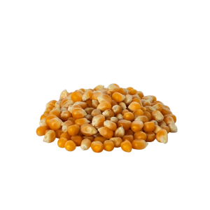 Imagen de Maíz para palomitas de producción ecológica de la marca EcoAndes.