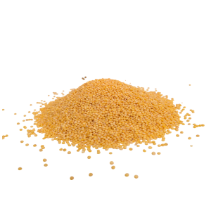 Imagen de Mijo de producción ecológica de la marca EcoAndes.