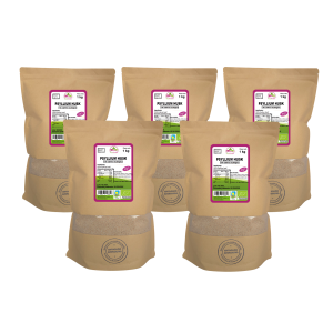 5 Bolsas de 1kg de Psyllium en cascara de la marca EcoAndes. El envase es de papel kraft con ventana transparente que muestra el contenido, etiqueta frontal con información nutricional, certificaciones ecológicas, sin gluten y sello de "envasado artesanal".