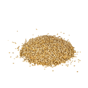 Imagen de Quinoa real blanca de producción ecológica de la marca EcoAndes.