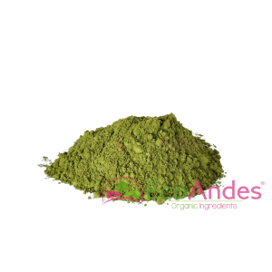 Imagen de Te verde matcha en polvo de producción ecológica de la marca EcoAndes.